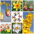 Easter Collage of seven pictures