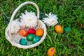 Easter Eggs In Basket