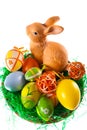 Easter Eggs And Bunny