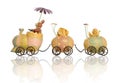 Easter Train