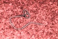 Ebola virus