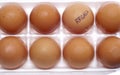 Egg Recall