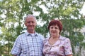 Elderly Domestic Pair On Nature