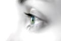 Eye