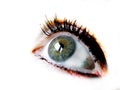 The Eye