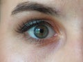 Eye Closeup Female