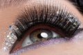Eye With Long Black False Eyel...