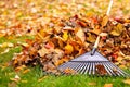 Fall Leaves With Rake