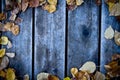 Fall Wood Background