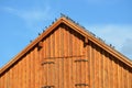 Farm