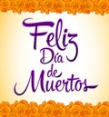 Feliz dia de muertos - Happy day of the death spanish text