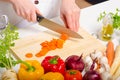 Female Cook Preparing Food