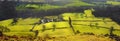Fields And Meadows Landscape