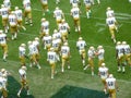 Fighting Irish Take the Field