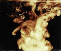 Fire In The Water