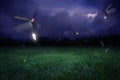 Fireflies At Night