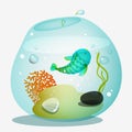 Fish bowl aquarium with blue Royalty Free Stock Photos