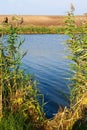 Fishing Spot On Lake