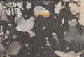 Flaking Background