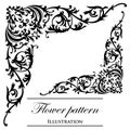 Floral patterns on a white background Stock Photo