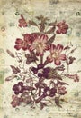 Flowers Botanical Vintage Styl...