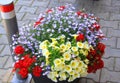 Flowers Bouquet