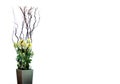 Flowers With Branches