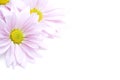 Flowers Corner