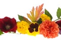 Flowers And Leaves Close Up