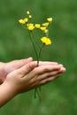 Flowers In My Hands