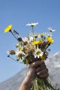 Flowers For You