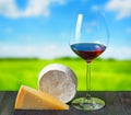 Cheese And Glass Of Wine On Na...