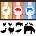 Food Labels