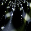 Fractal Fireworks