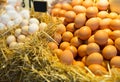 Fresh Farm Eggs