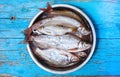 Fresh fish in  iron bowl on a wooden background