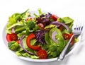 Fresh Garden Salad