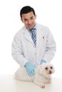 Friendly Vet Holding Pet Animal