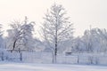 Frozen Nature