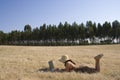Fun, Tecnology And Nature