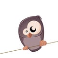 Funny Bird