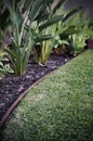 Garden Edge