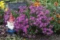 Garden Gnome
