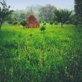 Garden And Hay Piles