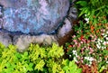 Garden Landscape