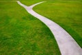 Garden Lawn Grass With A Two O...