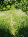 Garden Path