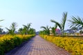 Garden Path