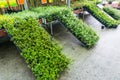 Garden Store Greenhouse