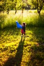 Garden Swing